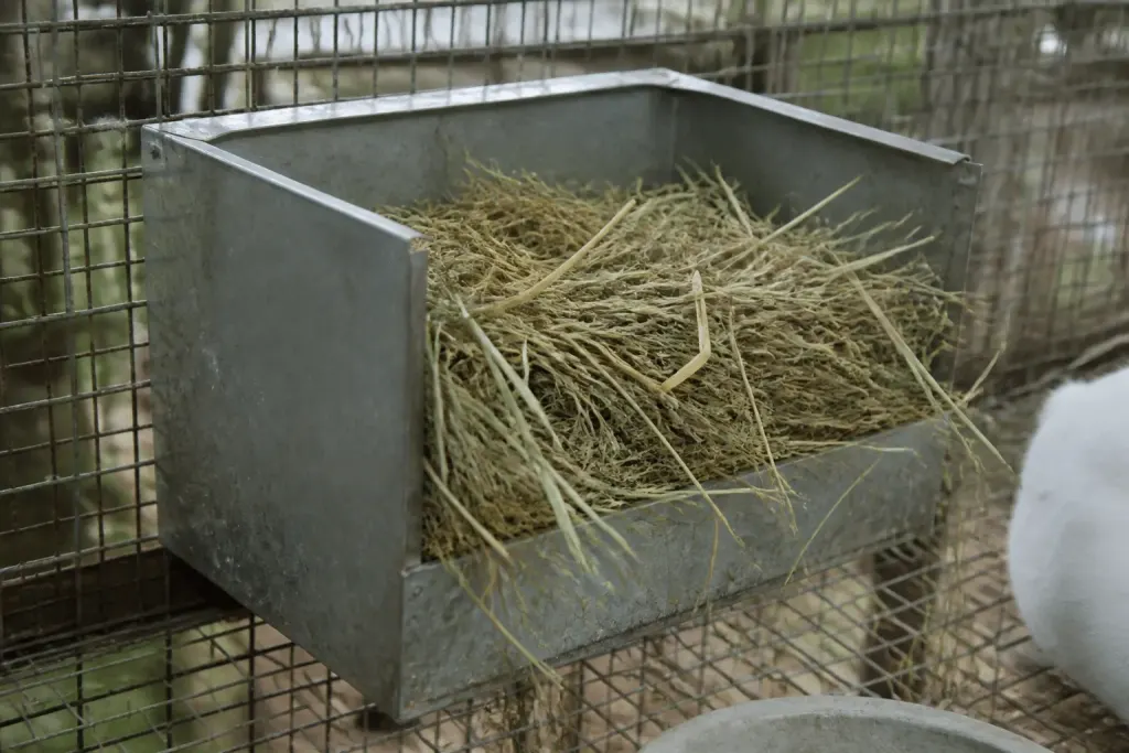 Boite de nidification remplie de foin dans une cage de lapin