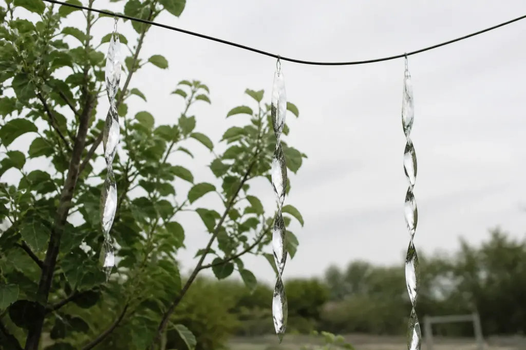 Dispositifs brillants et mouvants suspendus pour repousser oiseaux