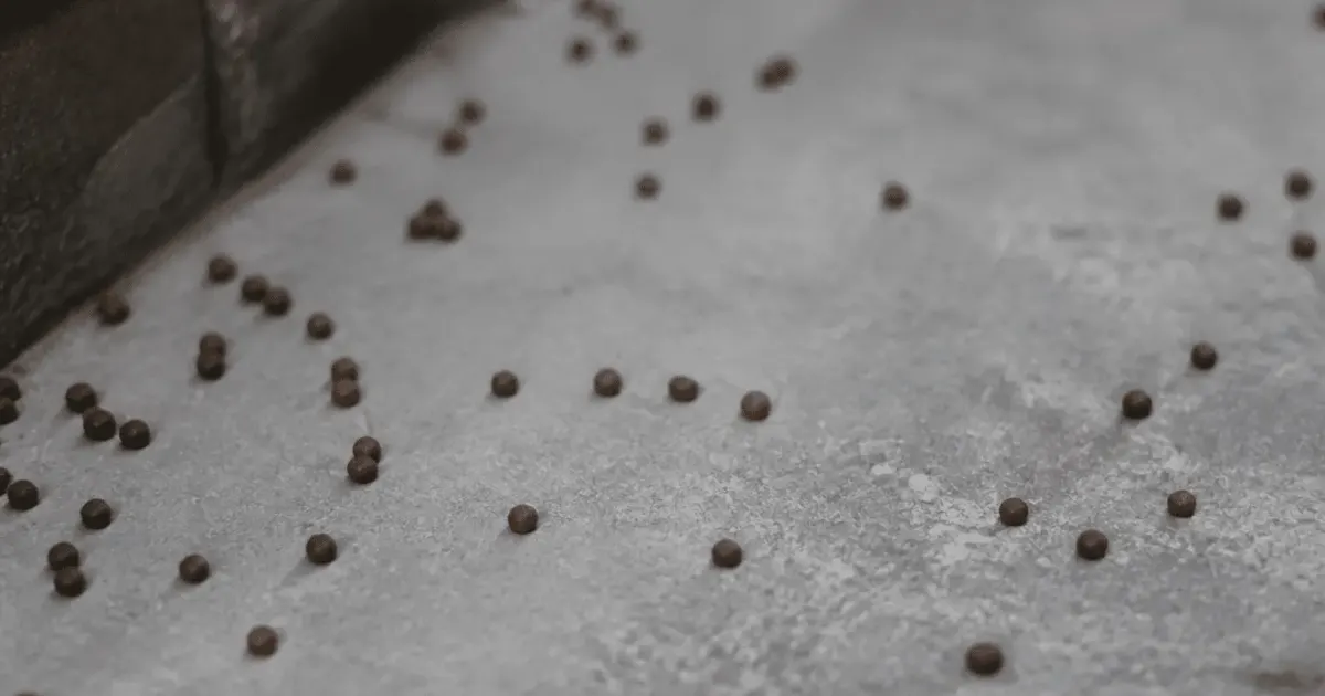 Petits granules marrons arrondis disperses sur surface grise