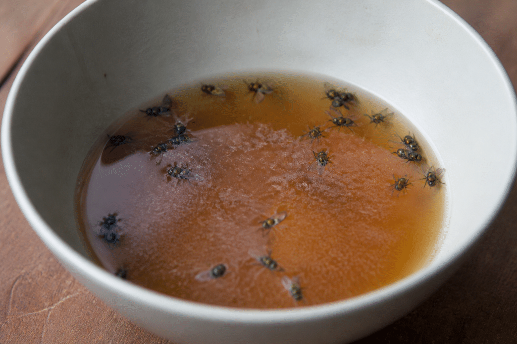Bol vinaigre cidre sucre mouches vertes noyées