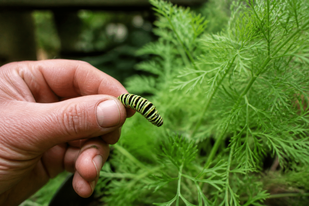 Main gantee retirant chenille rayee jaune noir jardin
