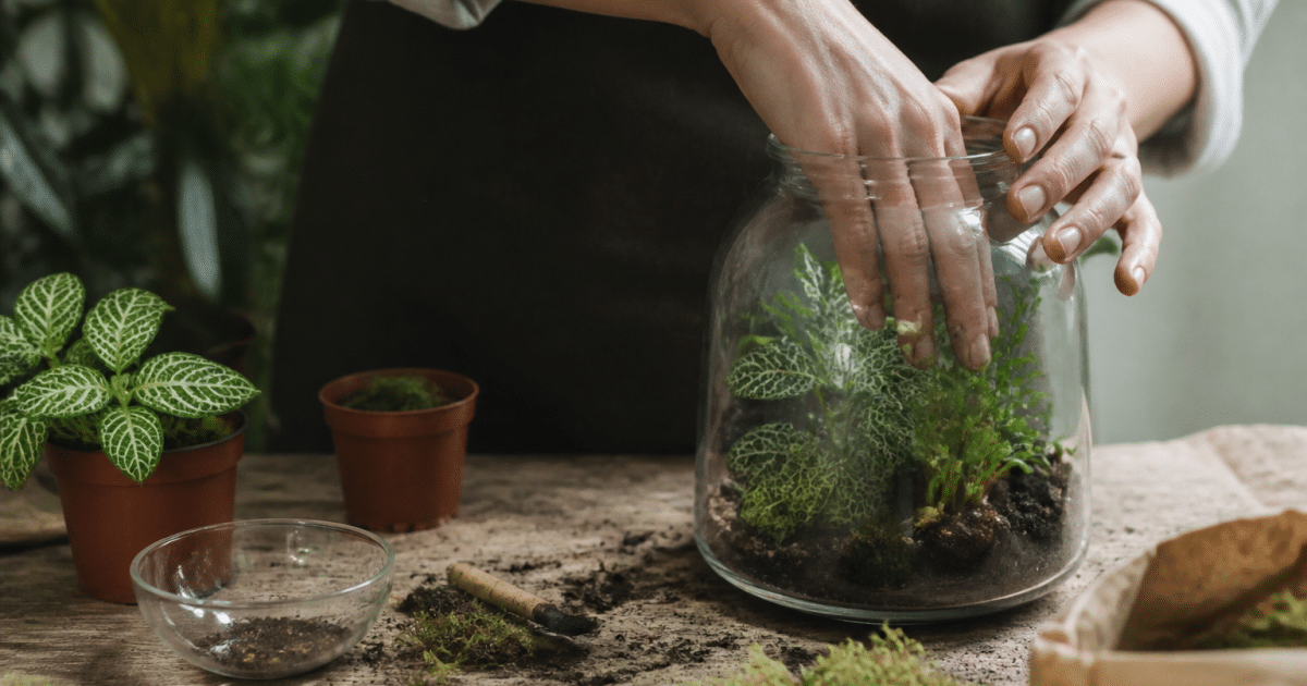 Mains assemblant plantes vertes dans bocal transparent sur table