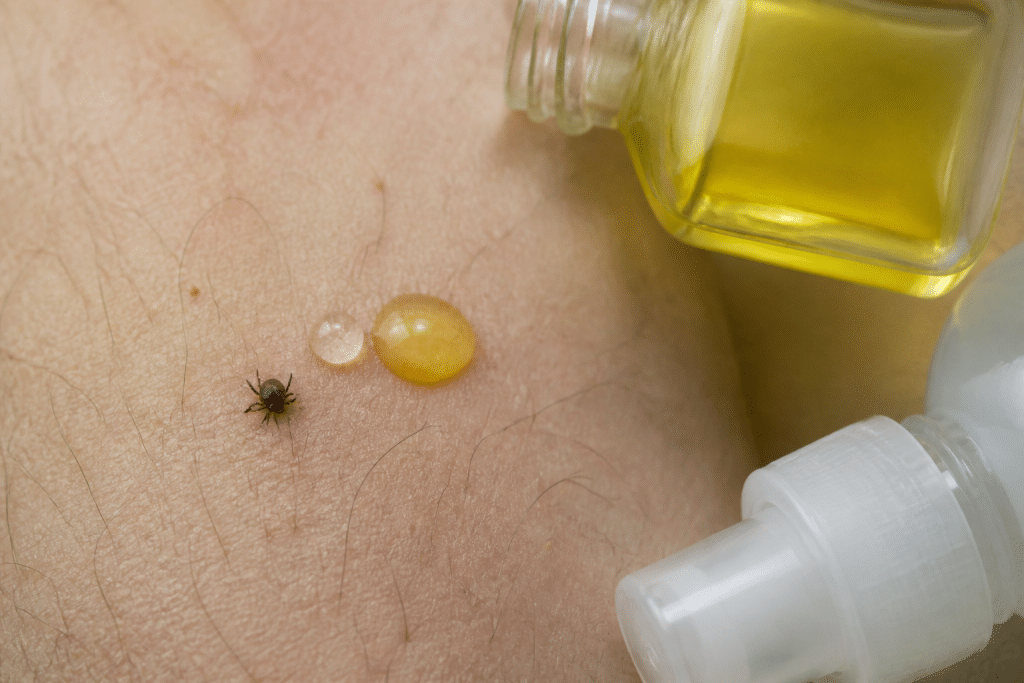 Tique sur peau avec gouttes huile et alcool à proximité
