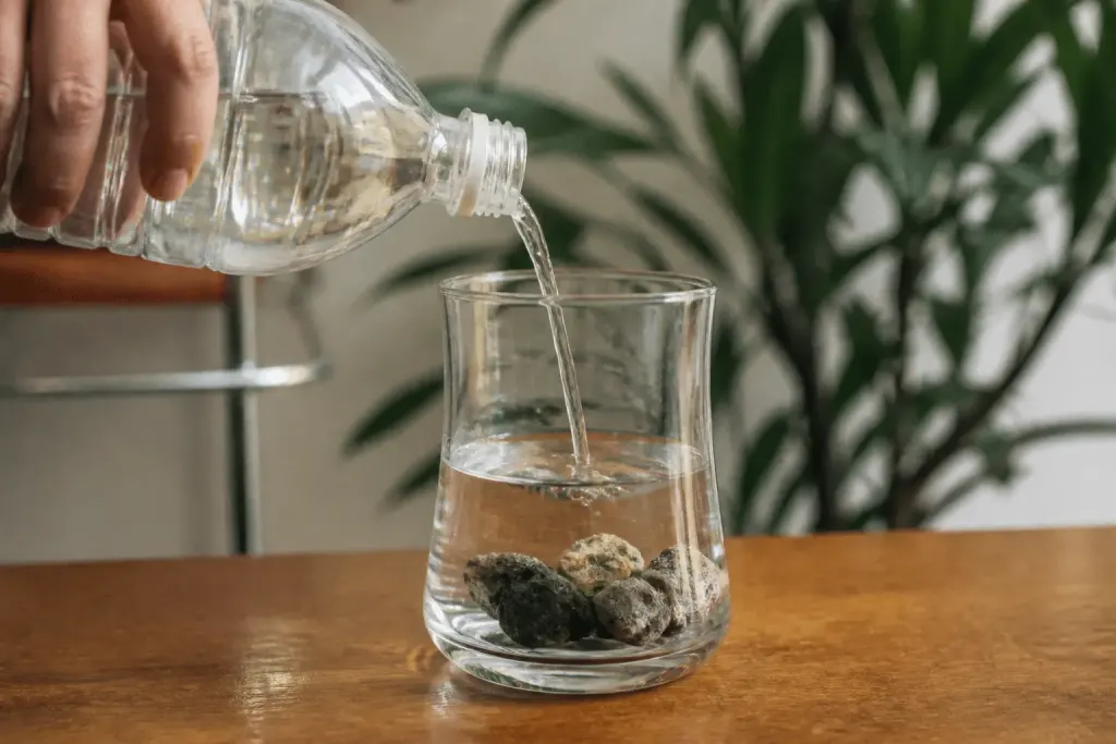 Vinaigre blanc versé dans verre avec pierre d'aquarium